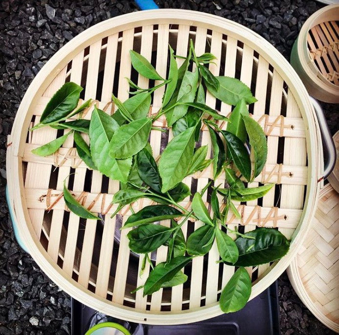 Suki Tea loose leaf tea leaves